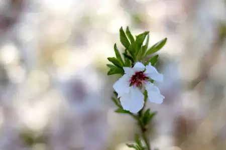 طبیعت بهاری استان زنجان شهرستان