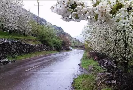 شیلاندار روستایی پلکانی