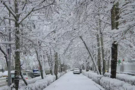 پیش‌بینی بارش‌ برف پاییزی در 