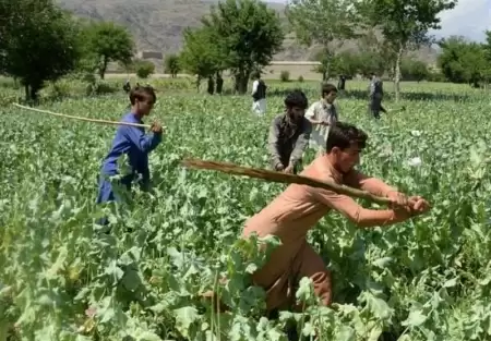 اروپا خود را برای کمبود 