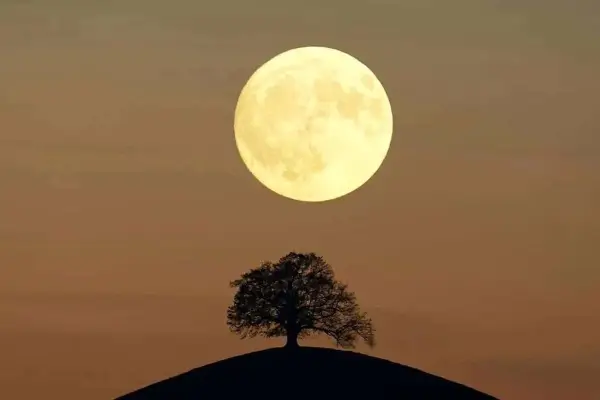 ماه شنبه ماه‌تر می‌شود  