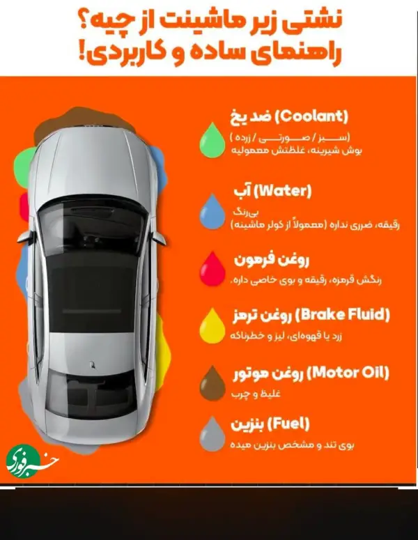 می‌دونستی علت نشتی زیر ماشینت 