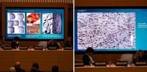 کشف صدها ردپای دایناسور در