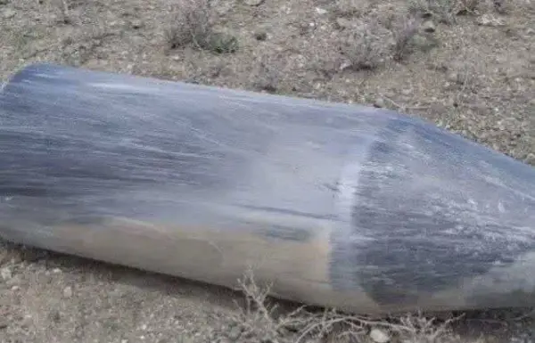 انهدام یک فروند موشک تاما